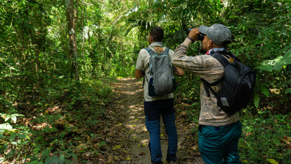 Tour Avistamiento de Aves- Minca