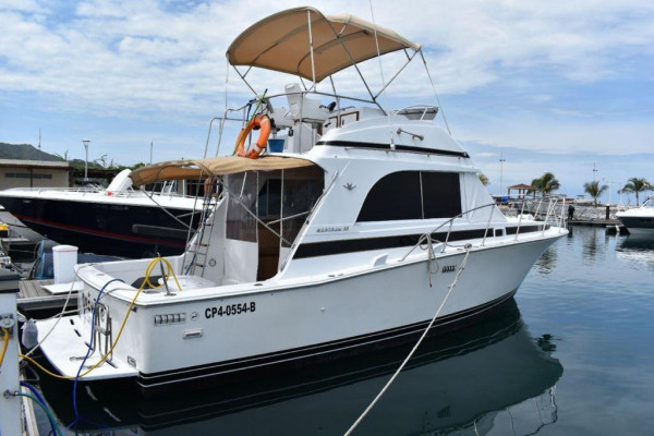 Yate Gazelle Santa Marta