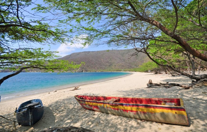 Tour katamaran - Bahía Concha