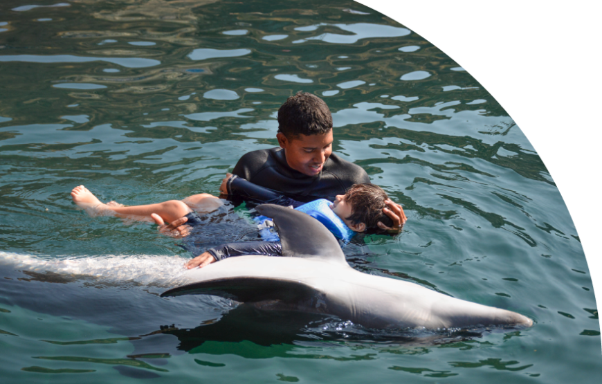 Delfinoterapia Acuario Santa Marta