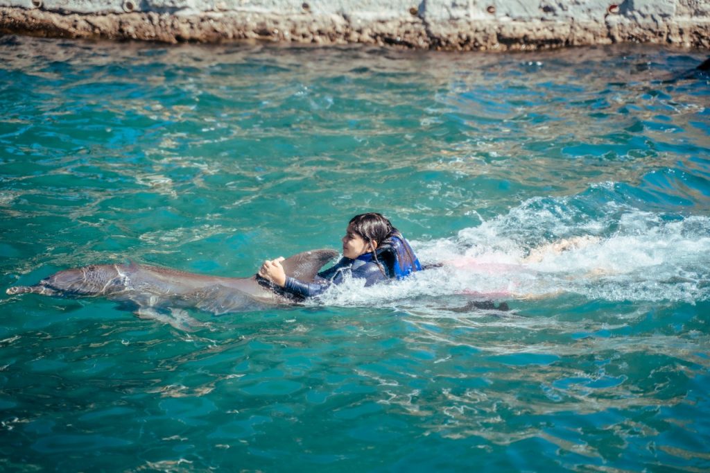 VIP Acuario y Playa Blanca