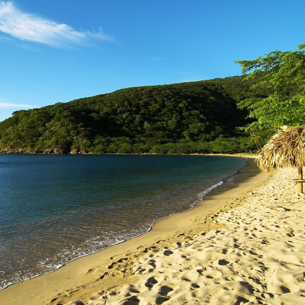 Tour katamaran - Bahía Concha