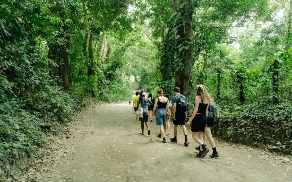 Tour Minca Full Day