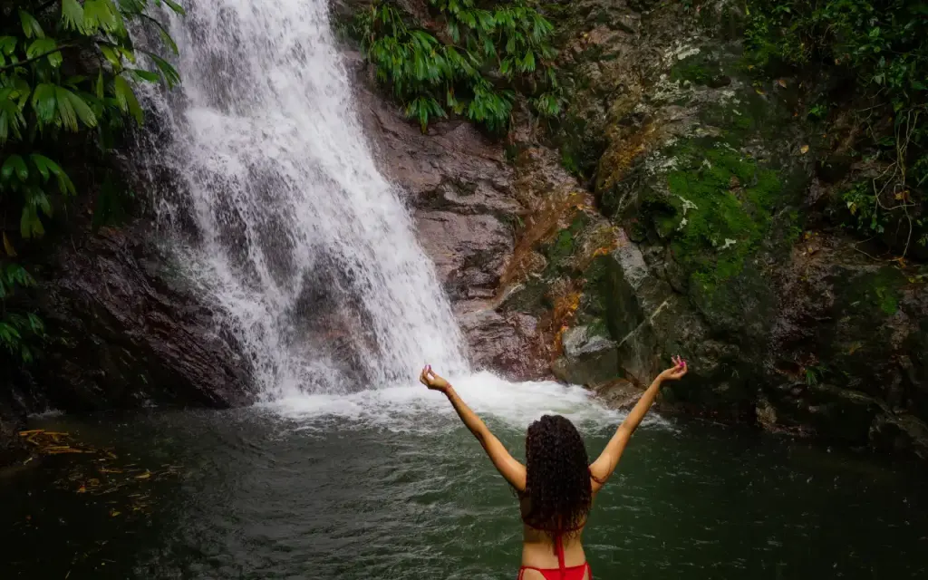 Tour Minca Full Day