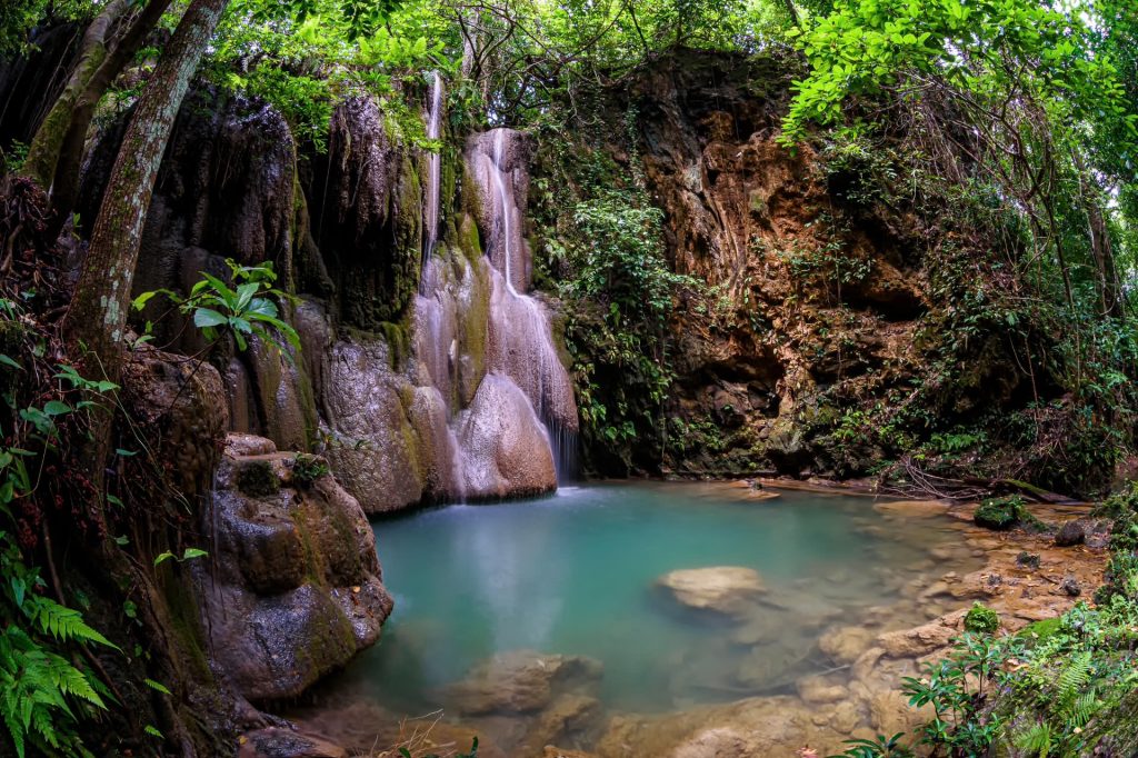 Tour Minca Full Day