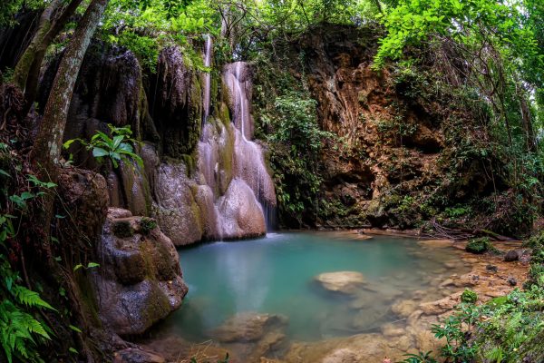 Tour Minca Full Day